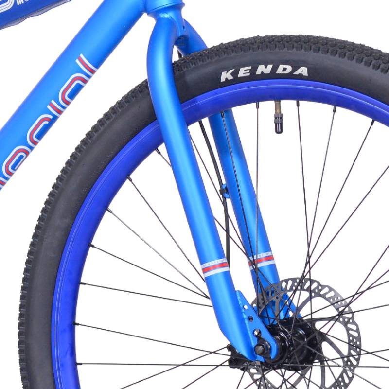 29" Thruster 79 Special, Fork