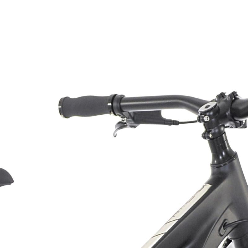 29" Giordano Intrepid, Replacement Left Brake Lever/Disc Brake Caliper Set