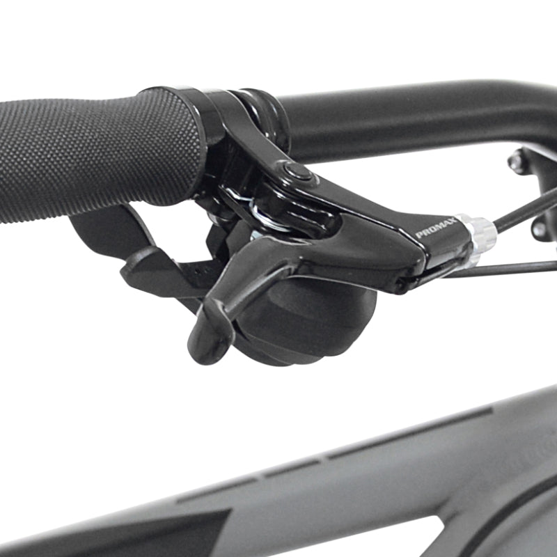 29" Kent Trouvaille, Replacement Right Brake Lever