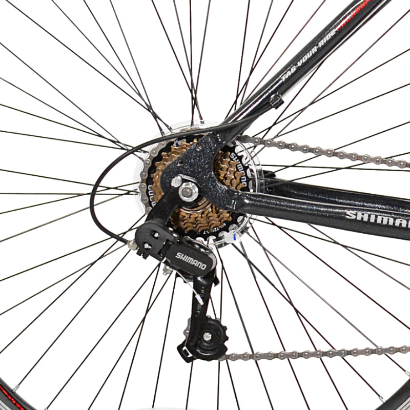 29" BCA SC29, Replacement 7 Speed Freewheel