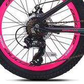 20" Ozone 500 Fragment Dark Pink, Replacement Rear Derailleur
