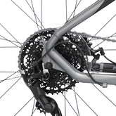 29" Kent Trouvaille, Replacement Derailleur Hanger