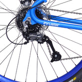 29" Thruster 79 Special, Rear Derailleur