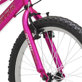 20" Kent Northstar MTB (Satin Pink), Replacement Fork