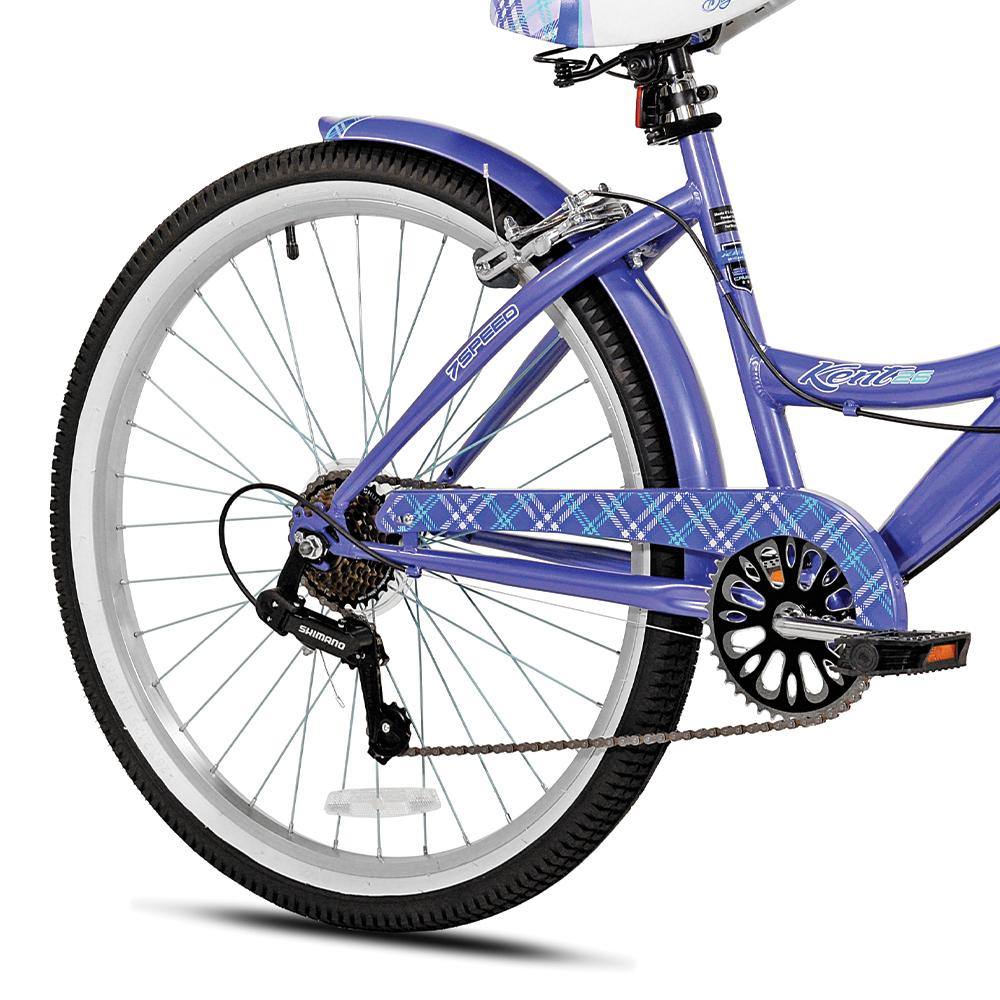 Purple with Blue and White Striped Steel Chainguard 40T 380MM